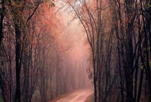 虎扑体育：陈垣宇2-3惜败卡尔伯格，WTT重庆冠军赛遭遇一轮.