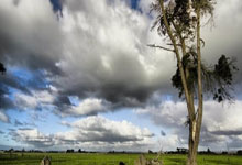 虎扑体育：[英超]加克波闪耀 利物浦主场取胜.